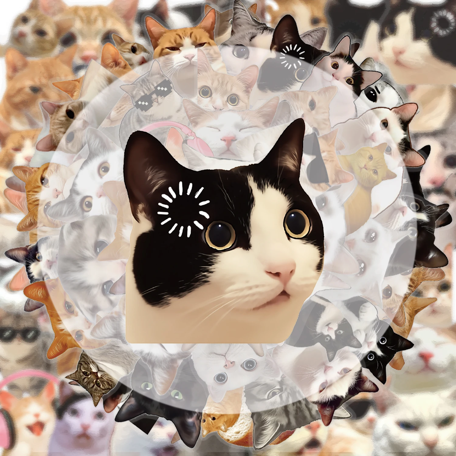 50 transparente lustige Katzen-Graffiti-Aufkleber, geeignet zum Dekorieren von Wasserflaschen, Laptops, Mobiltelefonen, Koffern, Skateboards, Gitarren, Geschenkboxen, Partydekorationen