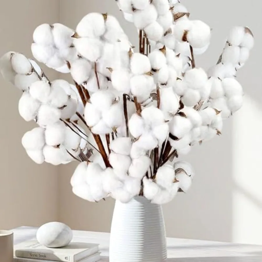 

10 Packs Natural Dried Cotton Stems - 15 Inch Real Cotton Flowers with 20 Bolls, Rustic Farmhouse Decor Branches Bundle for DIY