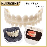 1Pair/Box  Resin Denture Teeth Set - Complete DIY False Teeth for Dental Education & Training Models (Upper and Lower)