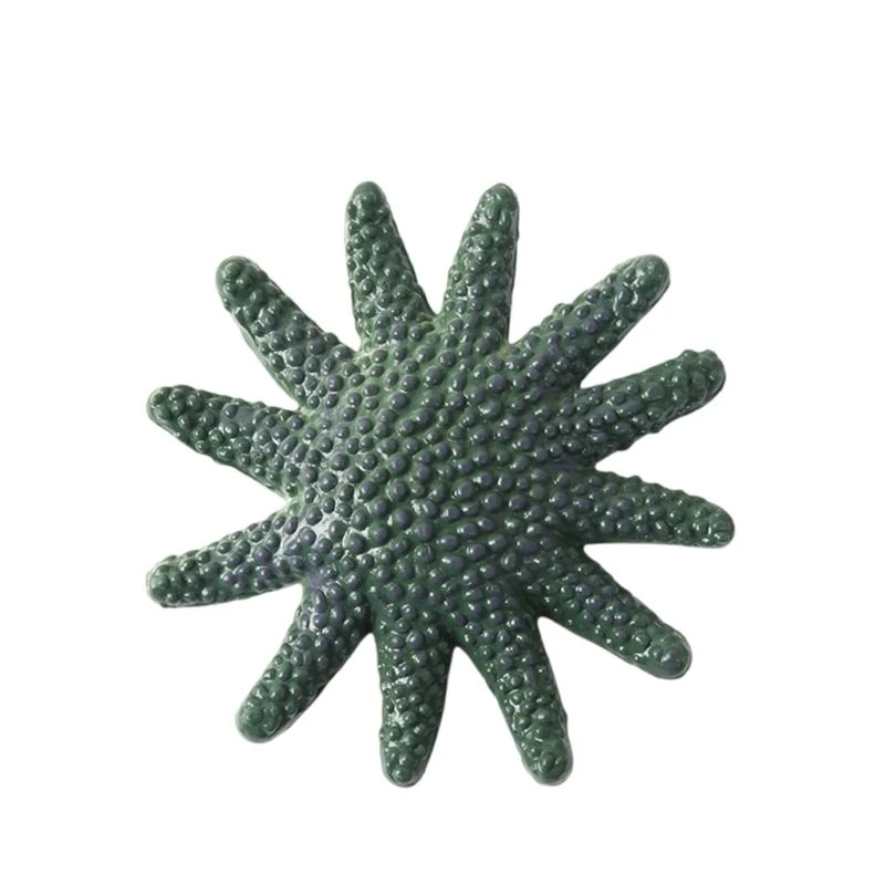 Onderwateronderzoek Ster Vis Beeldje Speelgoed 8PCS Zwemmen Duiktraining Speelgoed