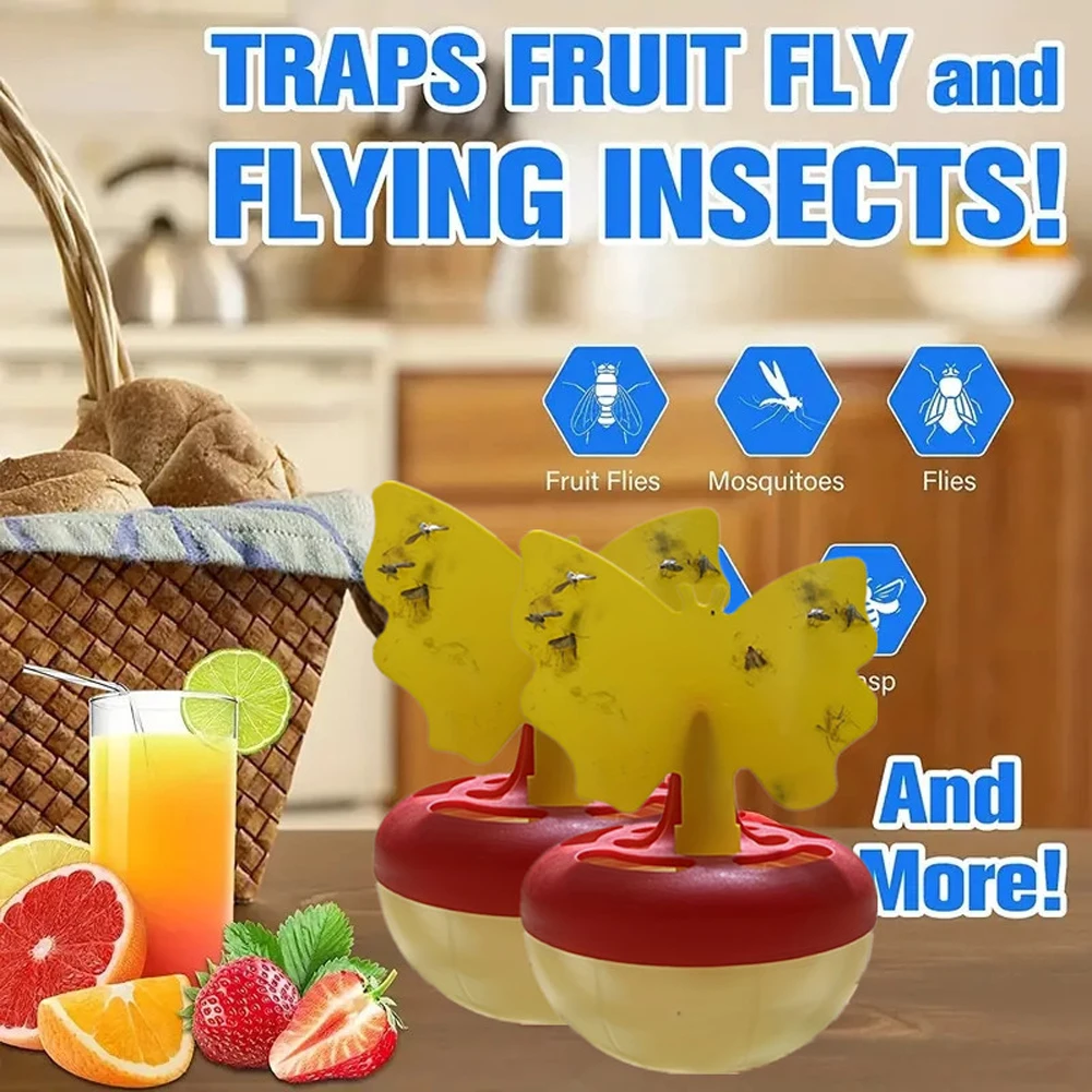 Fruit Fly Gnat Killer with 10 Sticky Traps