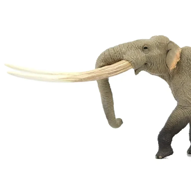 TNG-Figurines d'animaux préhistoriques, modèle d'éléphant Huanghe Stegodon, décoration de bureau