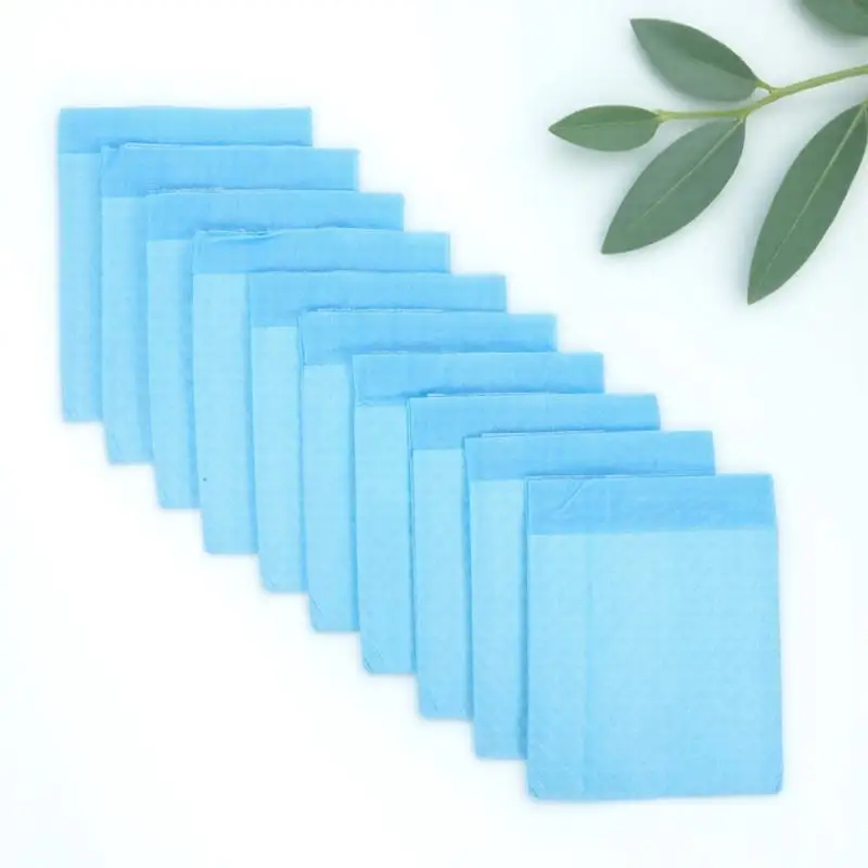 

10Pcs Water-Absorbing Bird Dung Pad Safe Pe Non-Woven Fabric Material Bird Cage Liner Mat Long-Lasting Fresh Use Sky-Blue