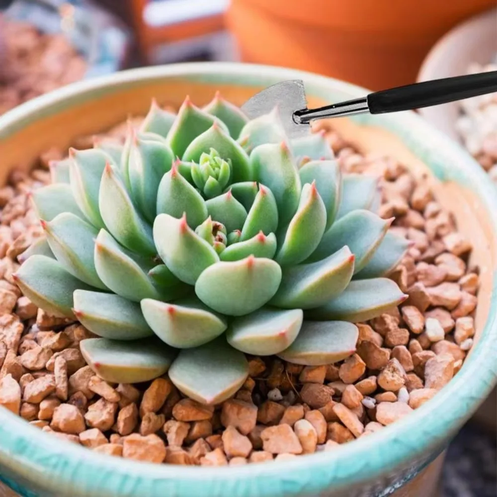 5/8/13pcs New Mini Seedling Tool Grow Flowers Transplanting Succulent Plant Tool Miniature Plant Accessories Plant