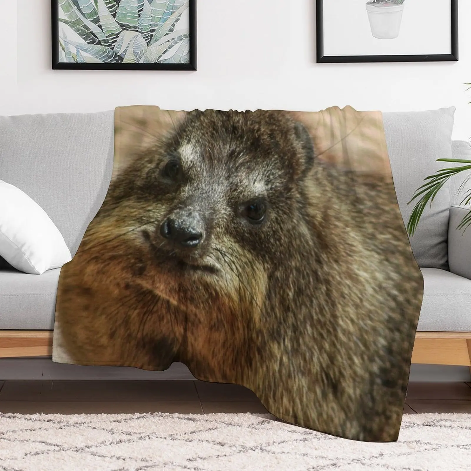 Close up of rock hyrax Throw Blanket Comforter Warm Blankets For Sofas Sofa Quilt Blankets