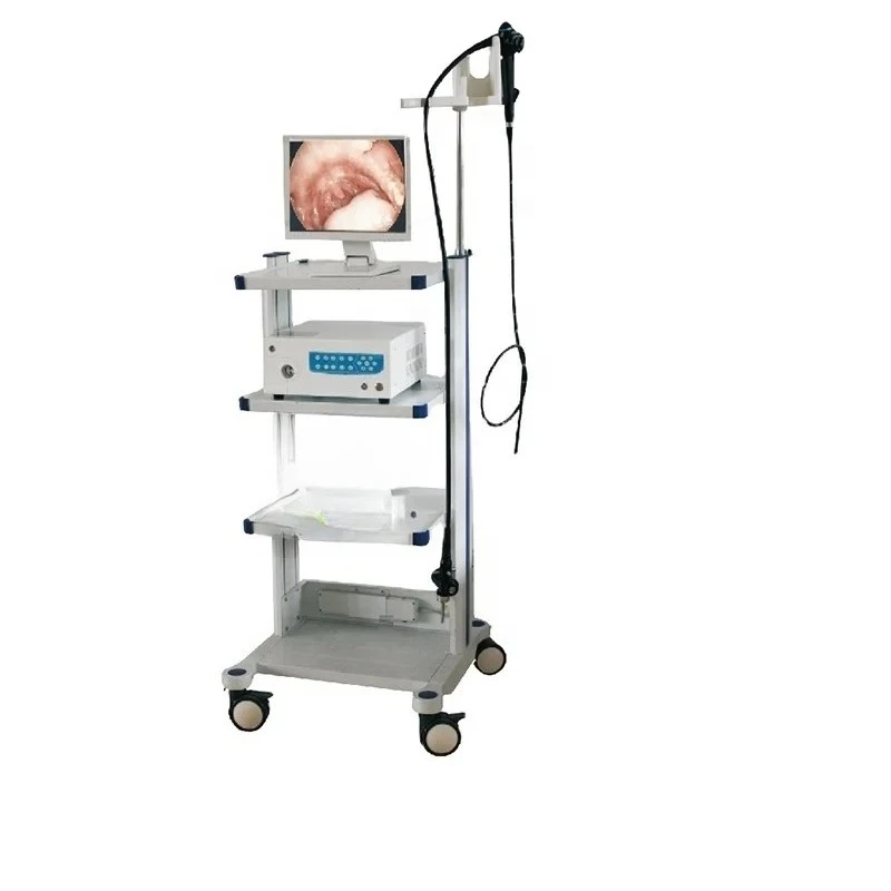 Excellent Quality Veterinary Endoscope Flexible Endoscope Sophisticated Veterinary Equipment