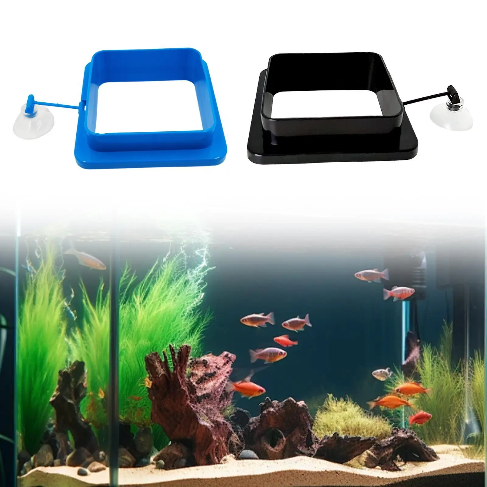 Floating Fish Food Feeder Circle Fish Feeding Circle Stable Acrylic Aquarium Flakes Pellets Home Use Turtle Fish Feeding Ring
