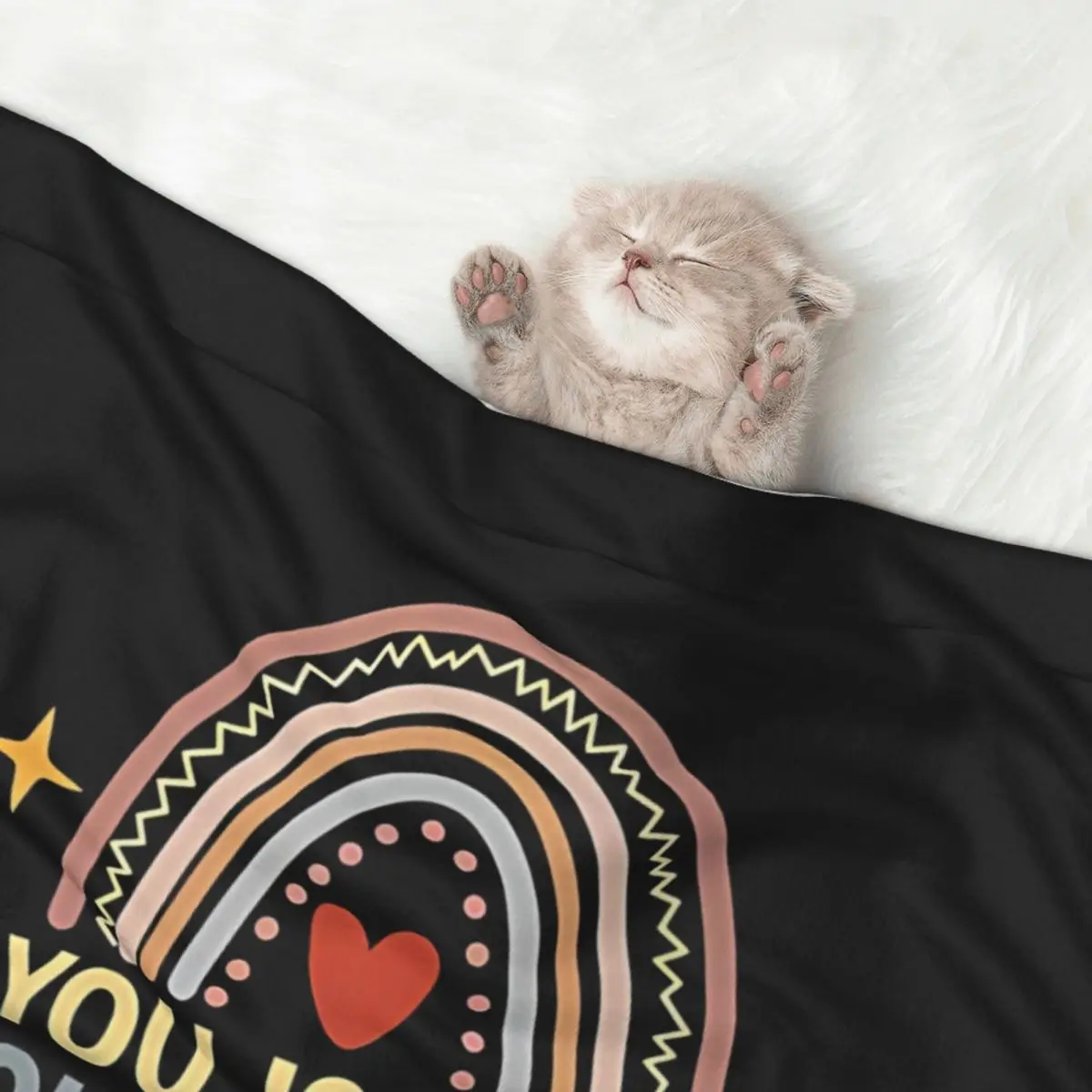 Copy Of You Is Kind You Is Smart You Is Important Quote Pet Blanket t Dog Cat velvet Blanket Mat Pet Supplies Pet blanket