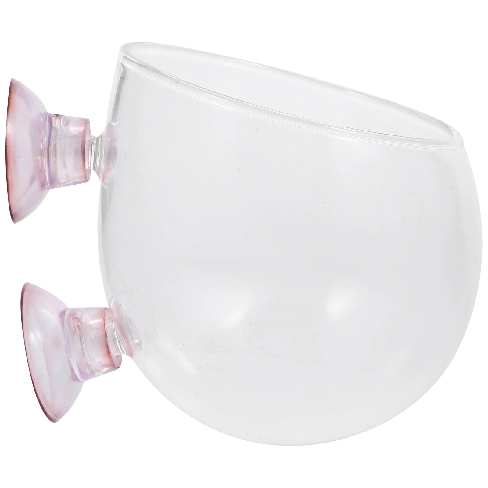

Mini Potted Plant Aquatic Aquarium Bowl Fish Tank Holder with Suction Cup Glass