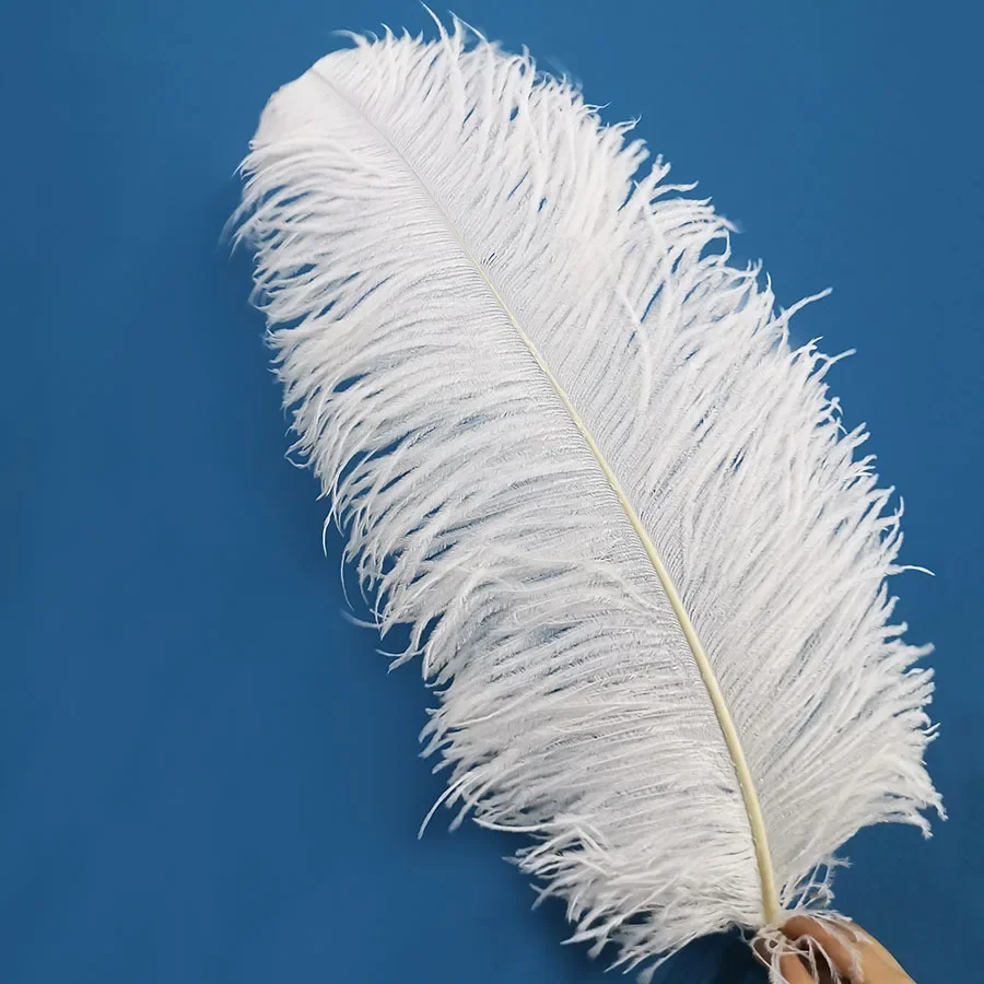 10Pcs/Lot New Colored Ostrich Feather for Crafts Wedding 55-60cm Decoration DIY Holiday Carnival Wedding Plumas Accessories