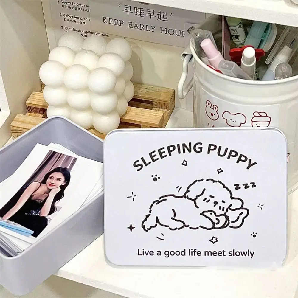 1 قطعة صندوق تخزين الحديد الكرتون Kpop Photocards سطح المكتب تخزين بطاقة صغيرة ملصقات أشرطة صندوق تخزين القرطاسية اللوازم المكتبية