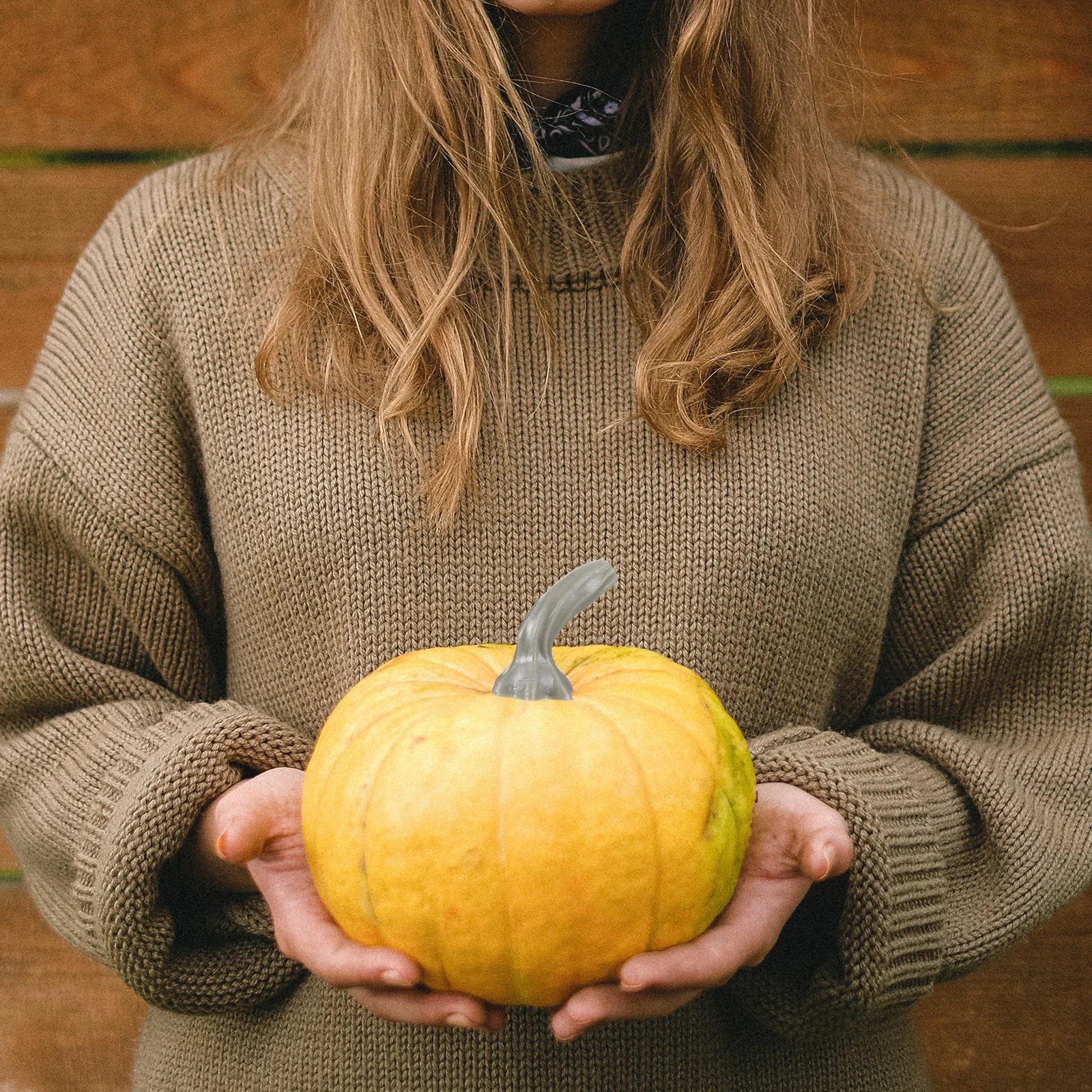 

24pcs Pumpkin Decoration Accessories Plastic Stem For Diy Halloween Craft Festival Decorations Pumpkin Handle Tool Accessory