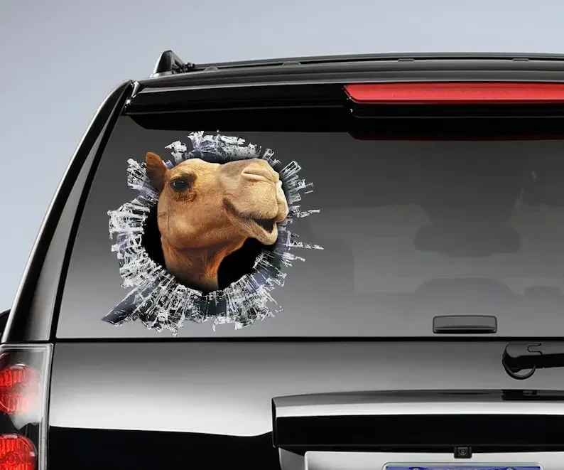 Camel window decal, camel car sticker, camel car decal, funny decal