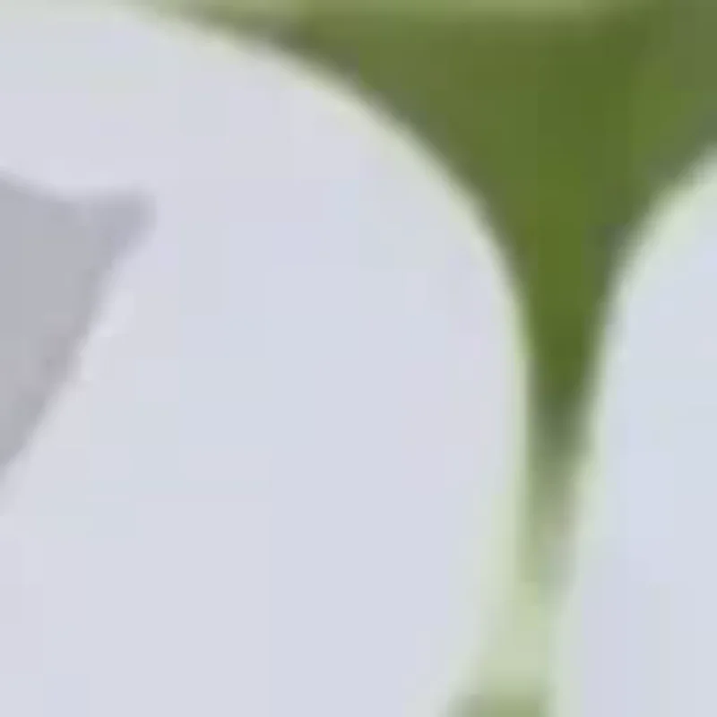 

Face Paint Stencils Professional Body Art Paint Stencils Reusable For Adults Kids Easily Use Templates For Parties Makeup Tools