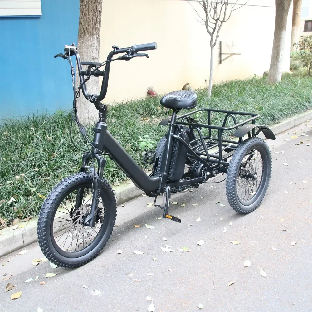 48V 15Ah Lithium Battery Aluminum Alloy Frame E-Tricycle 1000W Motor Electric Tricycle best three wheel electric bike