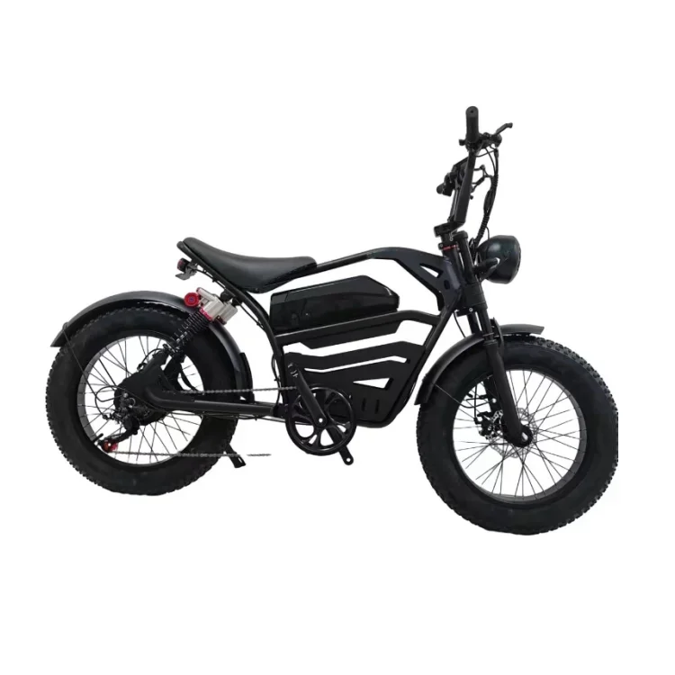 Factory Price Hot Sale Electric Mountain Bike Electric Bicycle 20 Inch Fat Tire 48V 350W 2 Wheel E Bike  For Adult