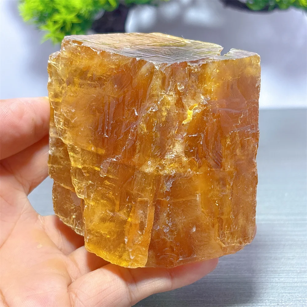 

Chrysophoron Calcite Specimen Natural Crystal Home Decoration Room decor Luck Quartz Stone Garden Healing Energy Love Gifts