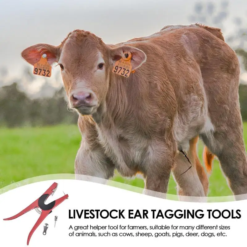 Ohr Zeichen Zange Für Rinder Kuh Zange Vieh Ohr Zeichen Applikator Tier Instrumente Identifikation Karte Installation Ohr Zeichen
