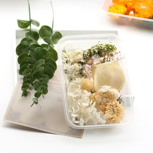 Real natural dried flowers, artificial plant for candle mold, epoxy resin, aromatherapy decoration, handcrafted accessories 10 Main Sales Natural Dry Flowers - №4