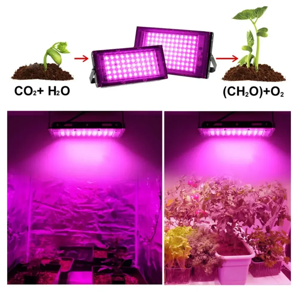 Imagem -06 - Full Spectrum Led Grow Light Lâmpada Phyto para Estufa Iluminação Hidropônica de Crescimento Vegetal com Plugue eu ac 220v 50w 100w 200w 300w