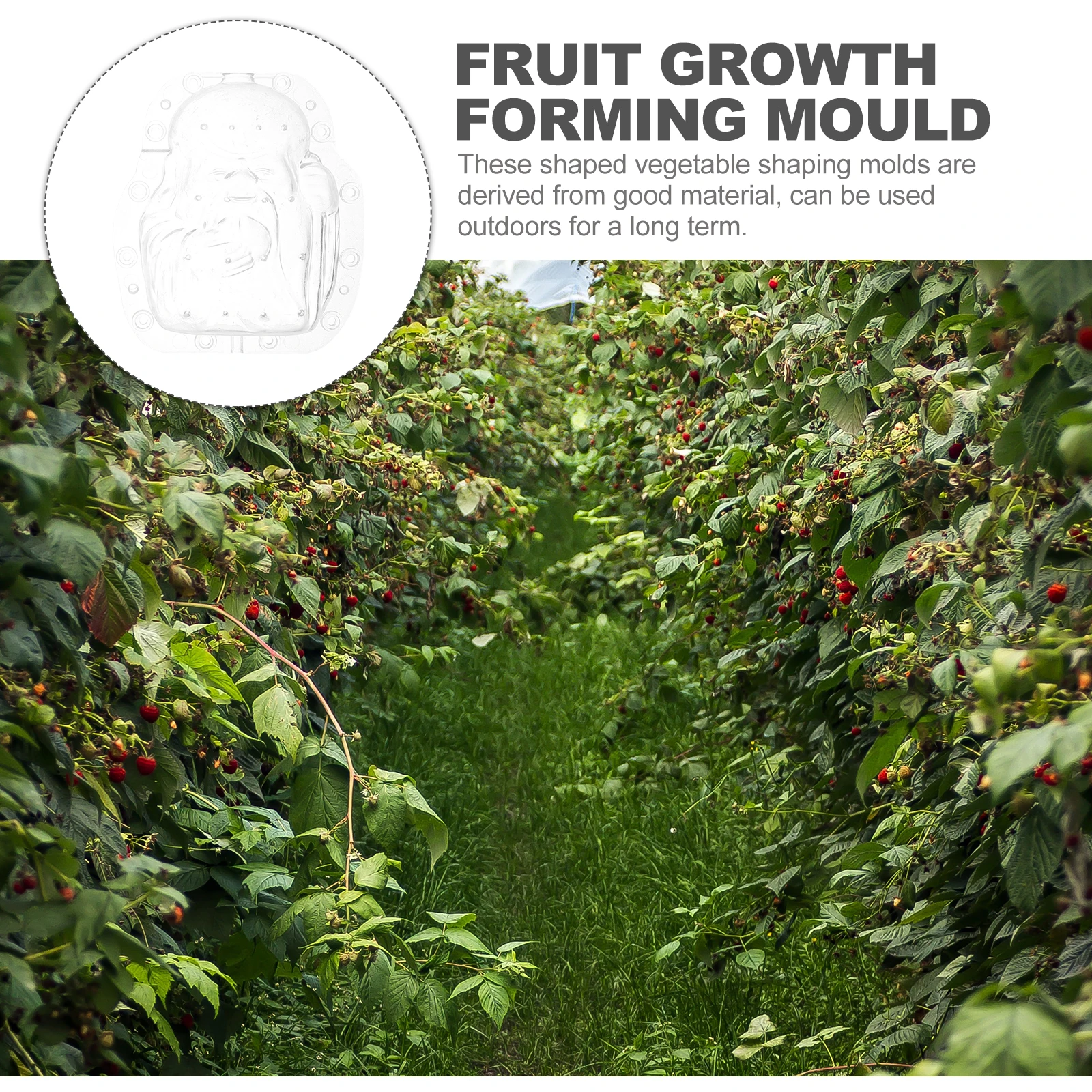 Set di Stampi per Modellare Frutta Trasparenti Riutilizzabili, Strumento per la Formazione di Verdure per Giardino e Cortile, Resistente alla Pressione