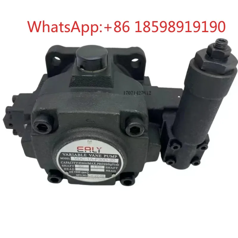 VDC-1A-F40D-20 Medium Pressure Variable Vane Pump, High Efficiency Hydraulic Pump, Suitable for Industrial Machinery