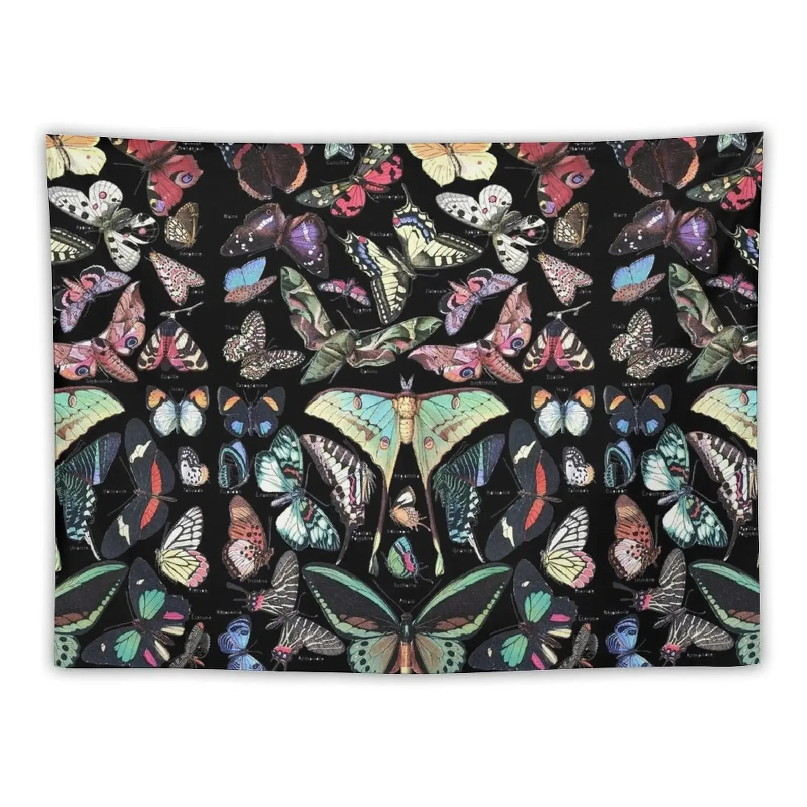 

COLORFUL BUTTERFLIES AND MOTHS IN BLACK Beauty Nature Collection Tapestry Things To The Room House Decor Tapestry