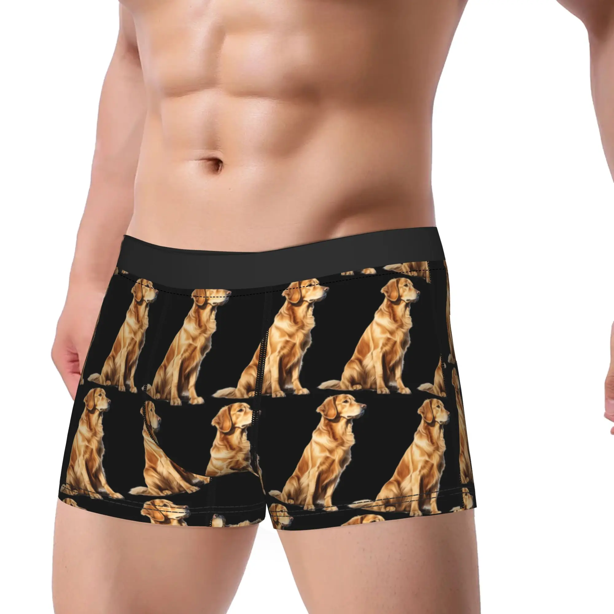 Golden Retriever Dog Portrait Boxer Shorts Pouch Underwear High Quality Customs Boxer Brief Men Underpants Plus Size 2XL