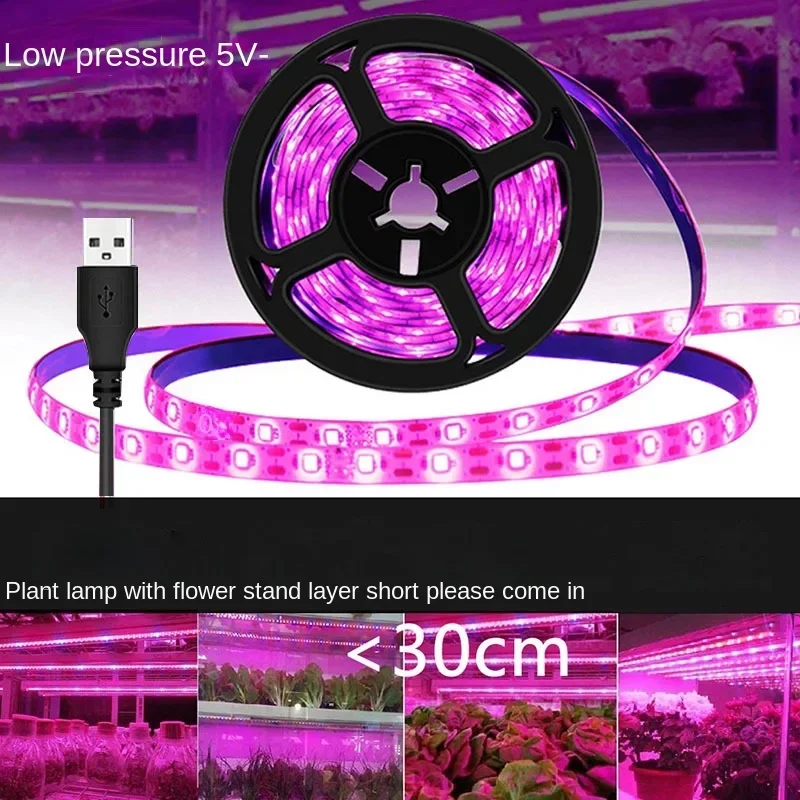 

0.5m 1m 2m 2835 Chip LED Phyto Lamp for Plants Flowers Greenhouse Hydroponic LED Grow Light Full Spectrum USB Grow Light StriP