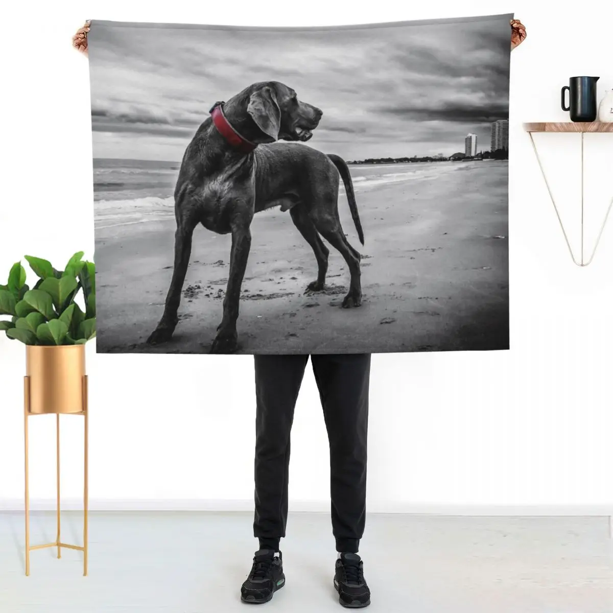 Weimaraner Throw Blanket Baby blankets and throws Bed Fashionable Personalized Gift Soft Beds Summer Blankets