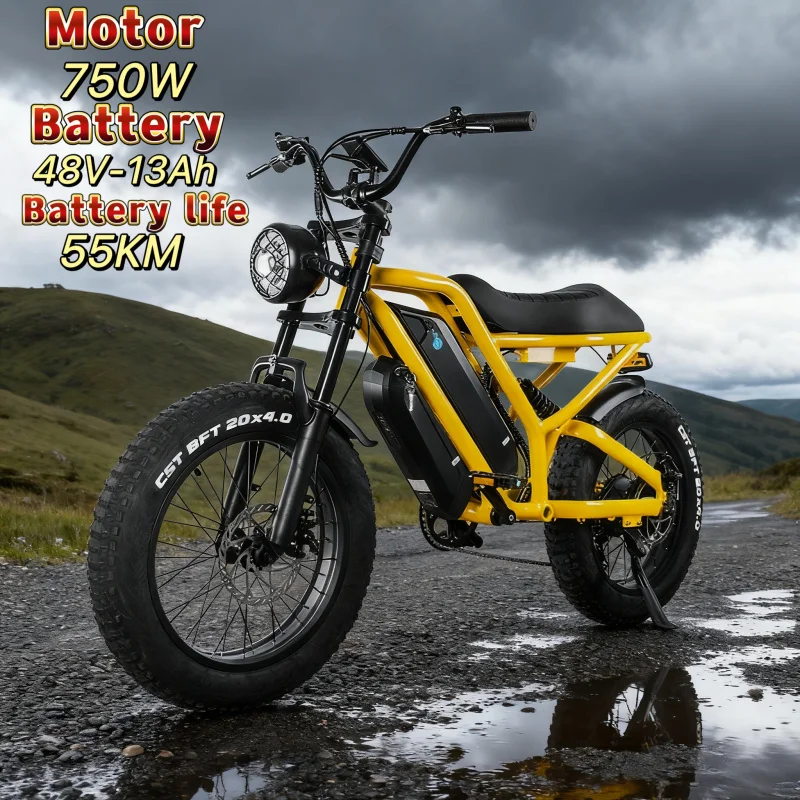 

MZ-12 electric bicycle 20-inch mountain electric motorcycle 750W motor 48V 13AH lithium battery adult electric E-Bike