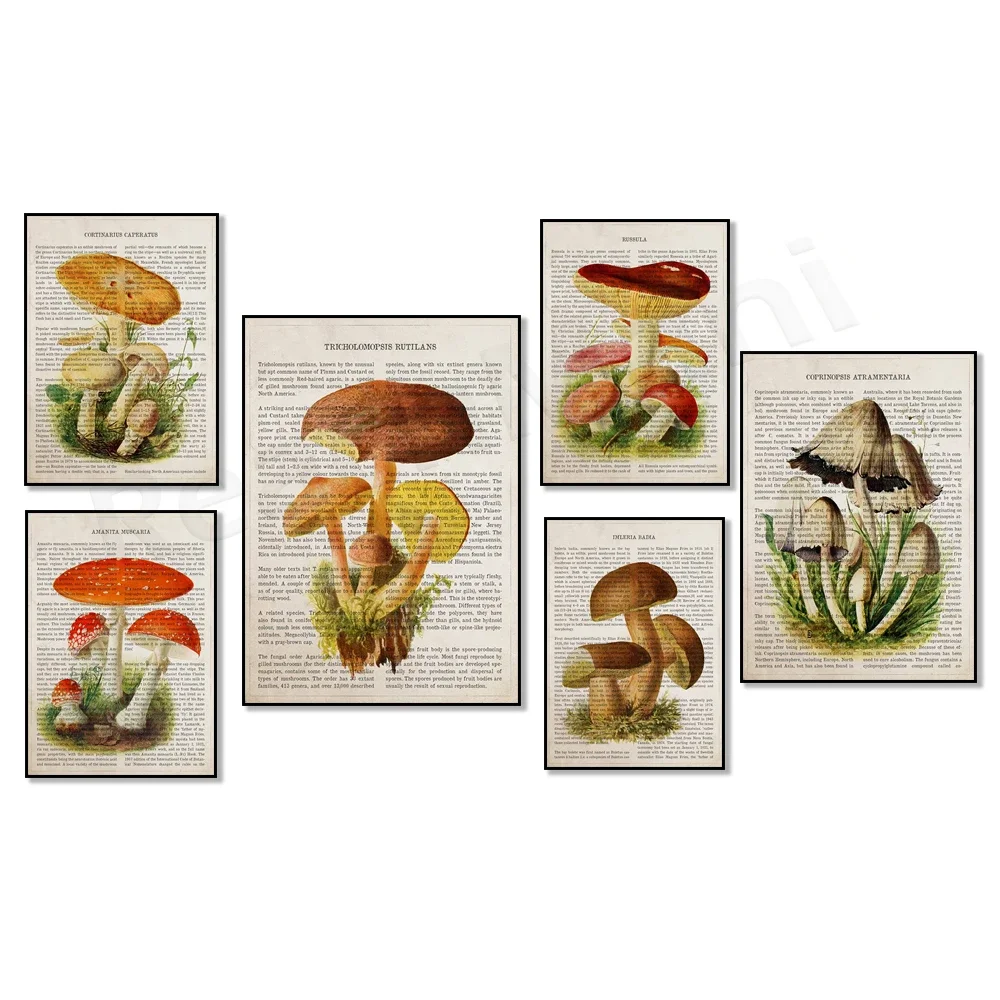 Arte de setas de diccionario vintage, boleto de haya amarga, ilustración de setas de boleto de Laurel, cartel de champignon, botanica vintage