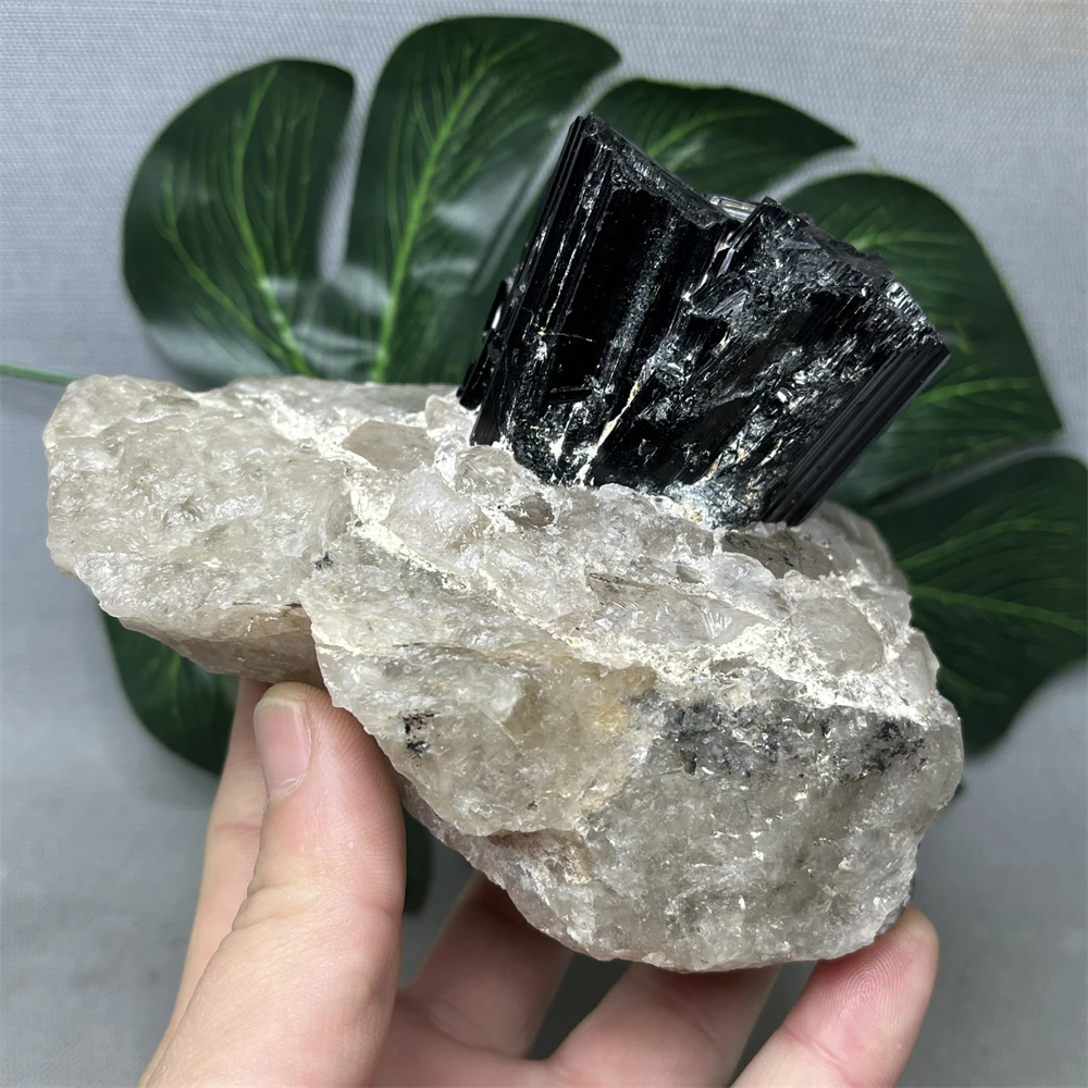 Brazilian Black Tourmaline Quartz Mineral Crystal Specimen Home Room Decoration Collection Feng Shui Spiritual Stone Healing