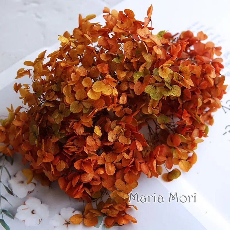 Gradient Color Preserved Hydrangea Home Decoration Wedding Decoration Small Leaf Anna Hydrangea Epoxy Handmade DIY Material image 3