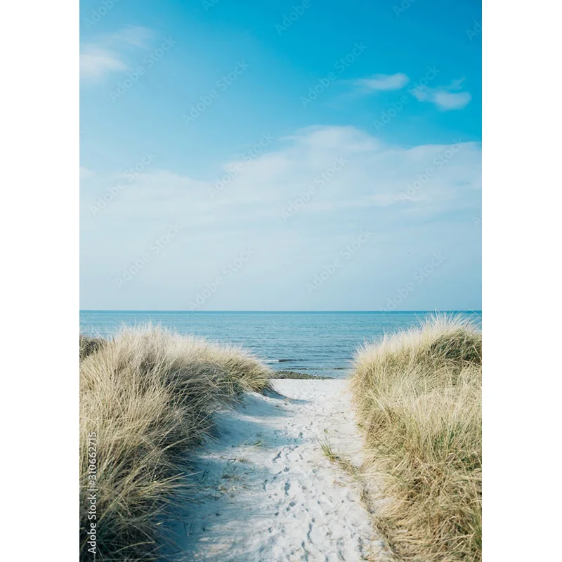 Studio fotografico tropicale 211227-HHB 04 del Photocall dei fondali scenici naturali della foto del fondo di fotografia dell'albero delle palme della spiaggia del mare