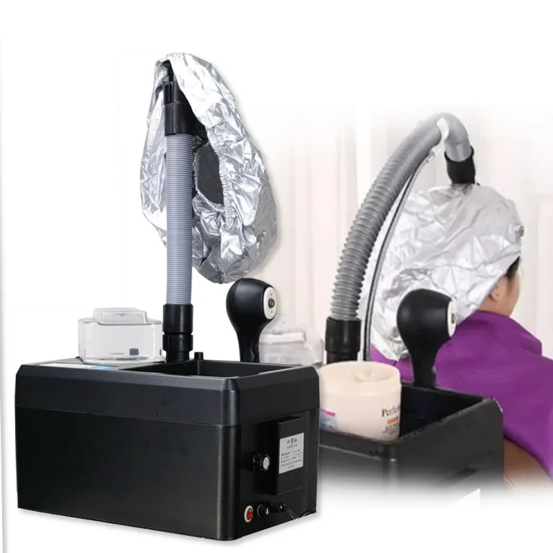 

New 2 in 1 Salon Use Micromist Soft Cap Home Use Professional Hair SPA Nano Mist Machine Table Portable Hair Steamer B