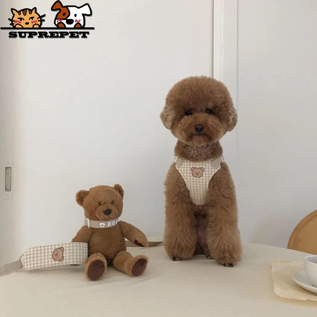 

Dog Collar Rope Harness Nylon Cotton Leash Cute Plaid Dog Bear Pattern for Puppy Dog Set Luxury Designer Dog Accessories 2022