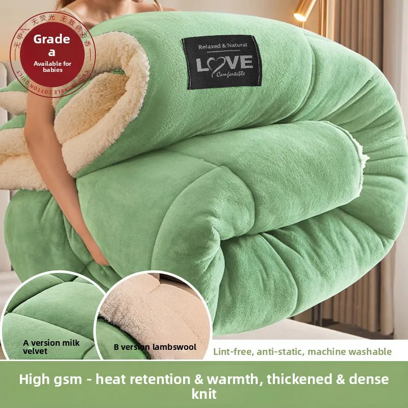 Winter Thickened Warmth Comforter Single Dorm Bedding Autumn Winter Thickened Autumn and Winter Quilt Winter Thick Quilt