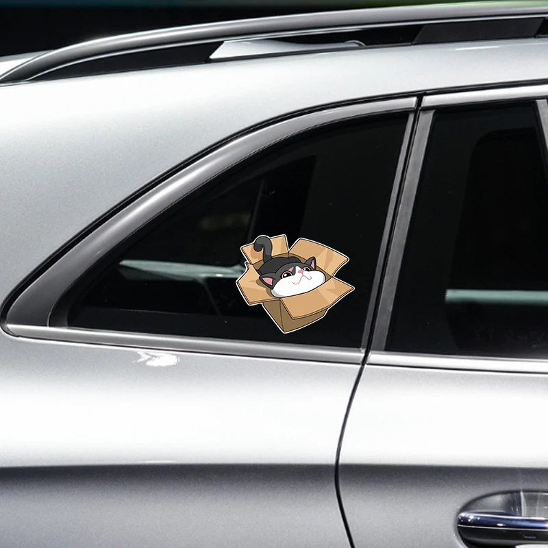 Box Cat Waterproof Sticker Cute Anime Car Decals Vinyl Stickers for Auto Window Bumper Windshield Car Decor Accessories