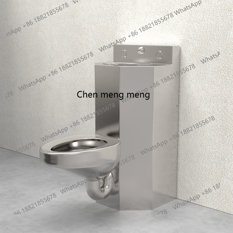 

One-piece toilet 304 stainless steel wall-mounted toilet wall-mounted toilet