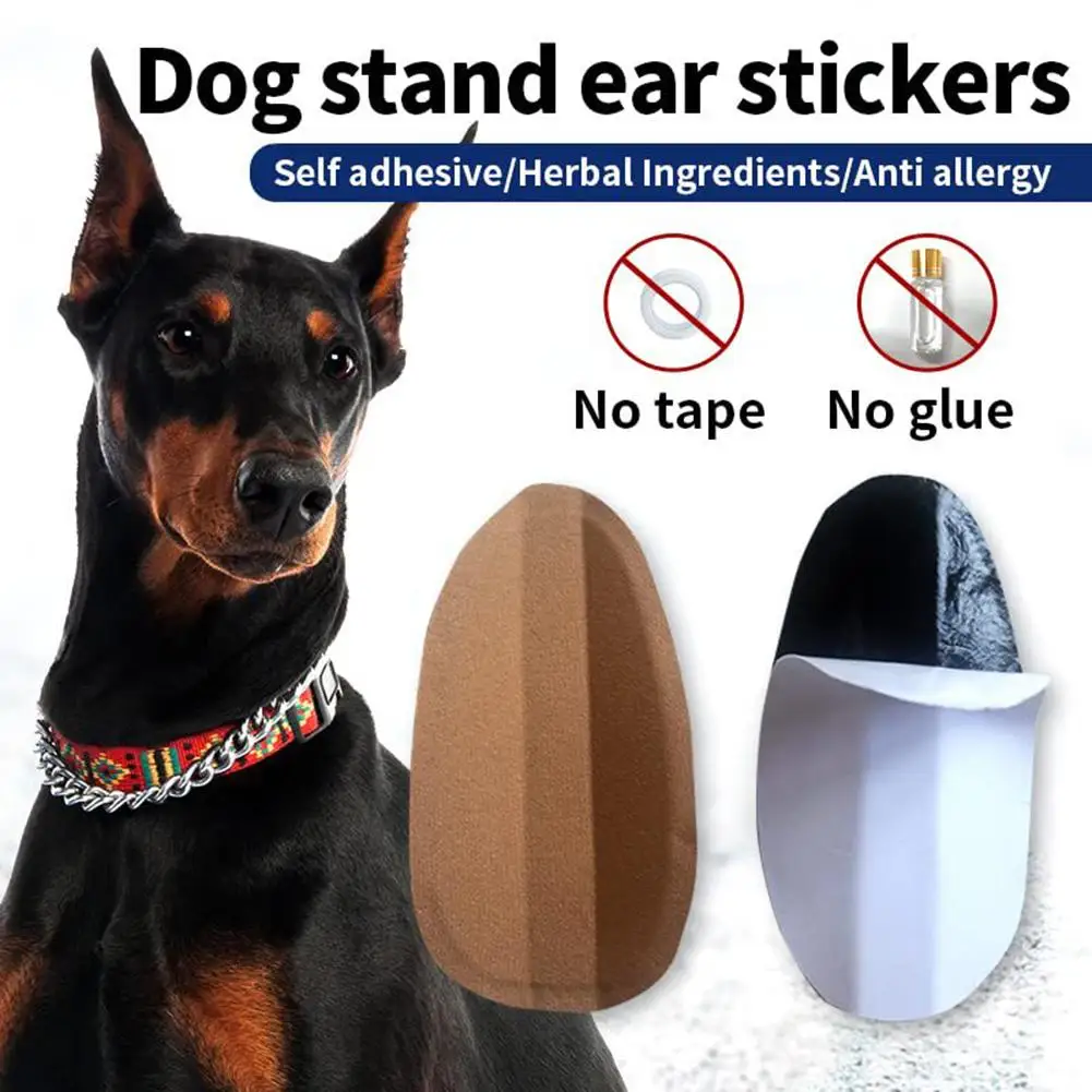 สุนัขคงที่แก้ไขผู้ถือหู Patch สติกเกอร์ Stand Up สนับสนุนเครื่องมือสำหรับ Doberman Pinscher Corgi ลูกสุนัข