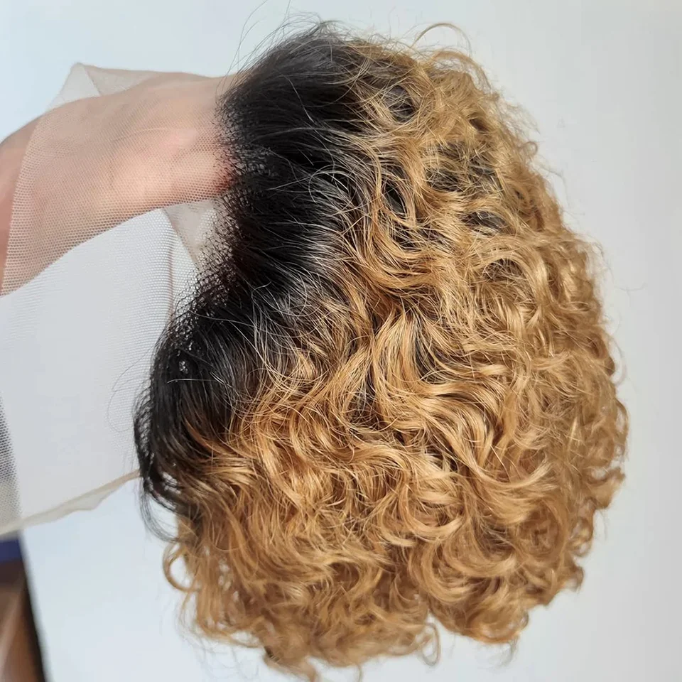 Lockige Pixie Cut Perücke Highlight Spitze Perücke Spring Curl kurze Bob Echthaar Perücken für Frauen natürliche schwarz gefärbte blonde billige