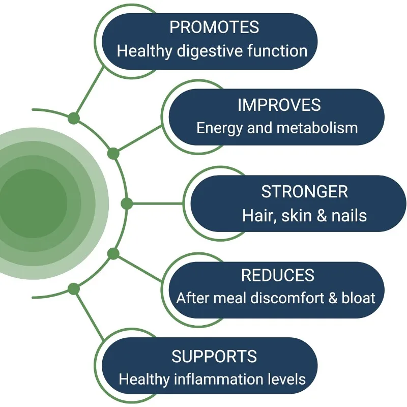 Betaine Hydrochloride, Organic Ginger Root, DGL, and Pepsin - Promote Healthy Digestive Function in 60 Capsules