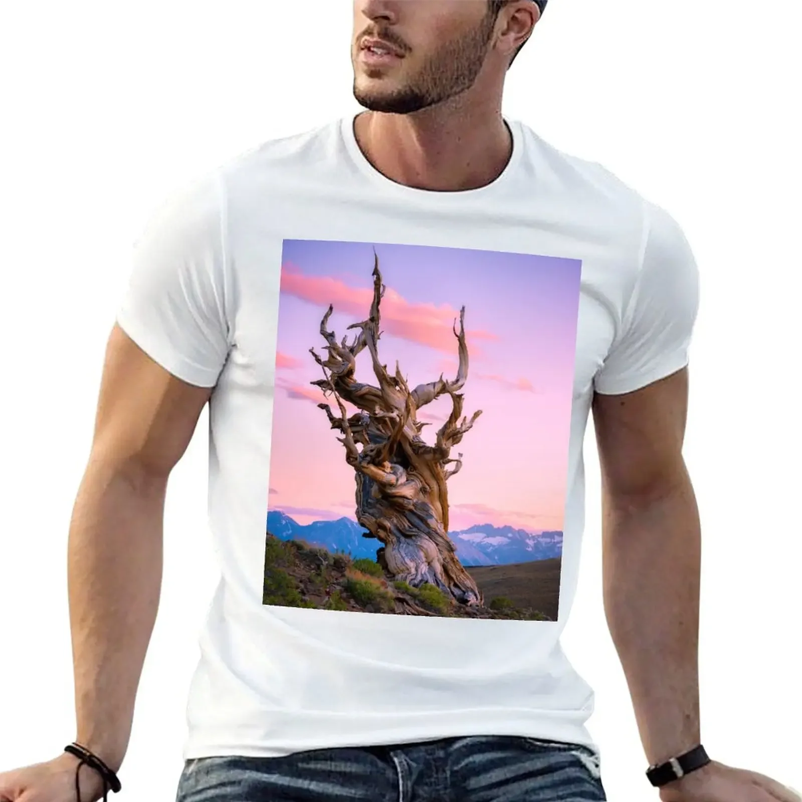 Ancient bristlecone pine forest T-Shirt sports fans korean fashion basketball graphic tees mens t shirt