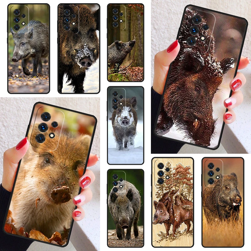 Cute Wild Boar Funn… - image