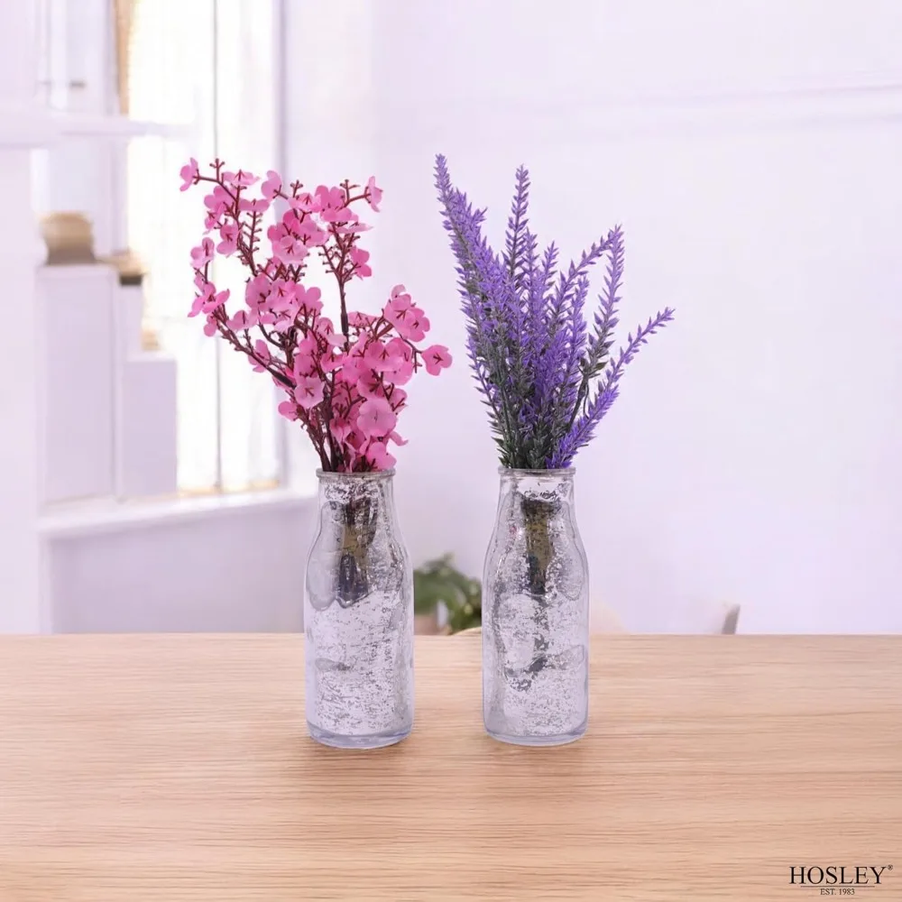 طقم مكون من قطعتين، زجاجات زجاجية فضية، بطول 5.5 بوصة، مزهريات مزخرفة.