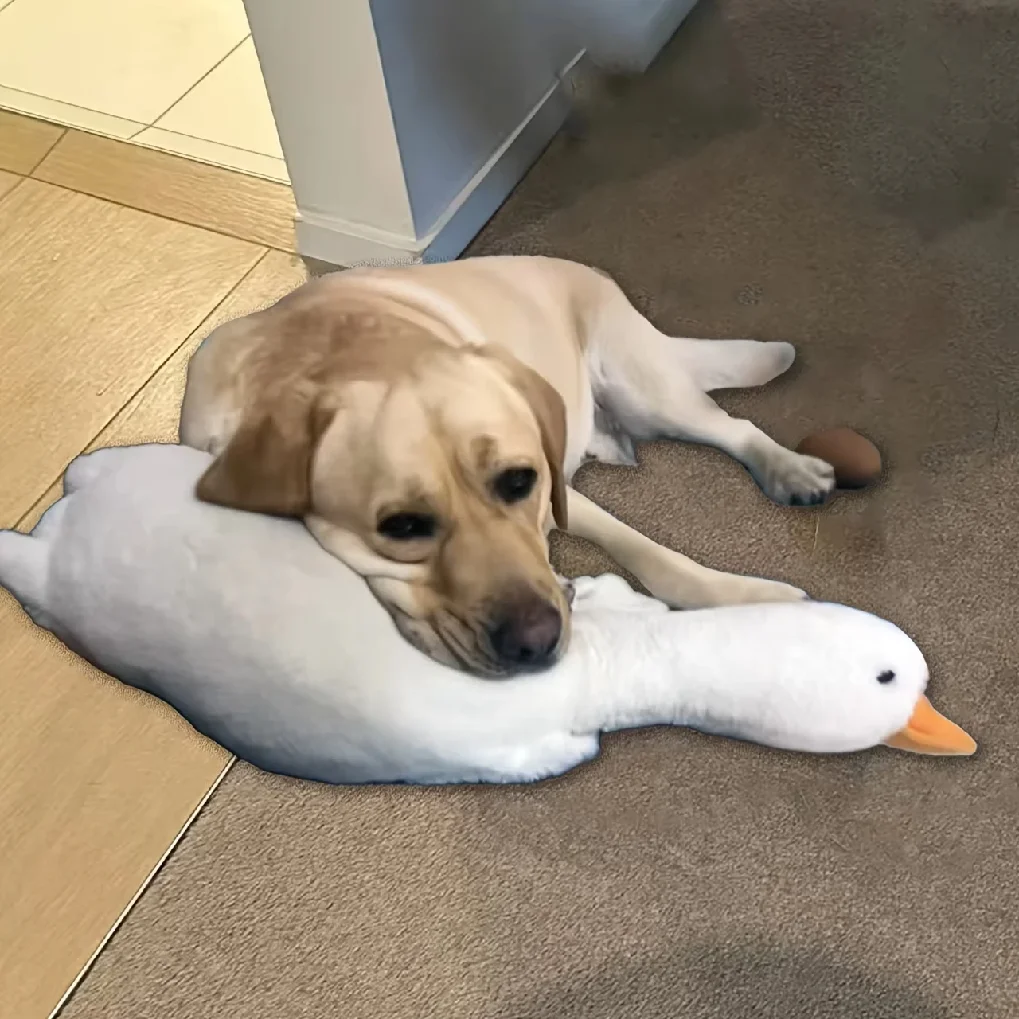 80cm Large Plush White Duck Dog Toys Realistic Goose Design Dolls Suitable for Dogs Play Best Pet Supplies