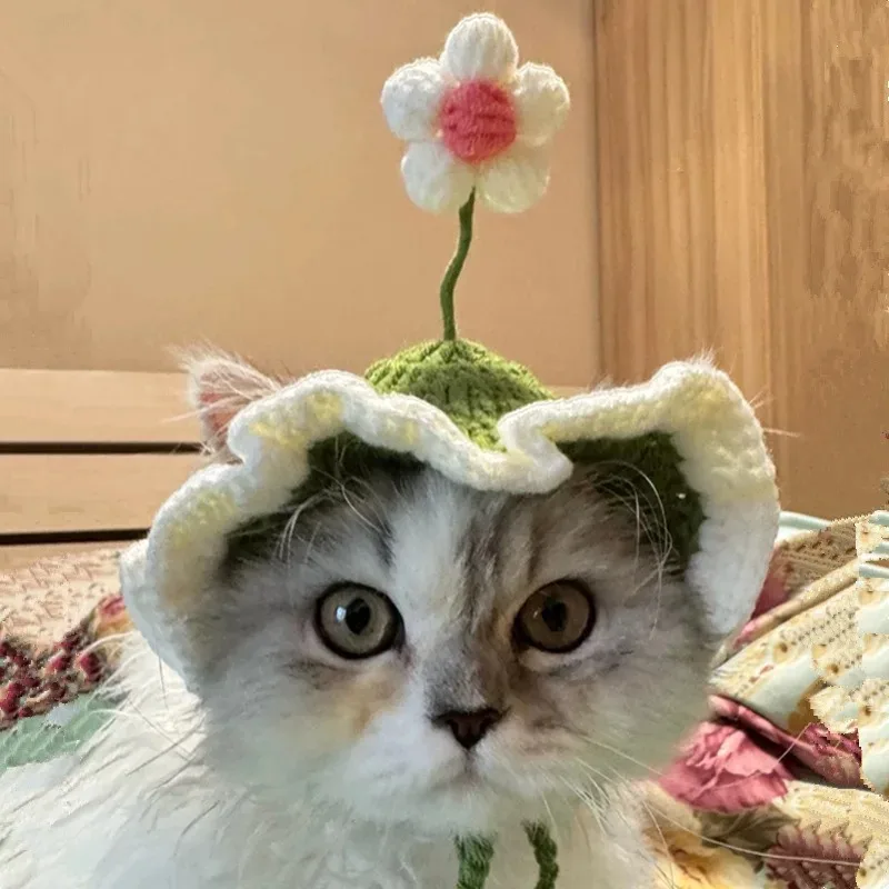 ZUJOLY قبعة قطط لطيفة قابلة للتعديل قبعة مرنة للحيوانات الأليفة للقطط والكلاب الصغيرة وأغطية الرأس مع زهور صغيرة لتزيين صور الحفلات