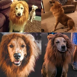 Fashionable pet instantly transforms into lion headgear, dog headgear, funny pet hat