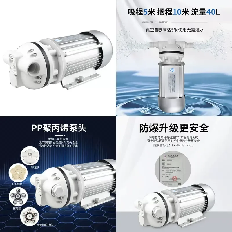 For Customized 220V Explosion Proof Diaphragm Pump Acid Alkali Self Priming Methanol Alcohol Sulfuric Acid Chemical Electric